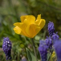 DSC00478