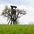 DSC00513_01
