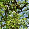 DSC00516_01